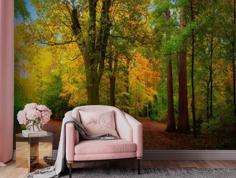 Fototapeta Początek jesieni u08547