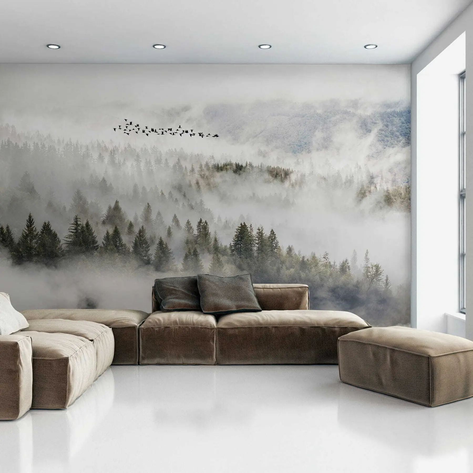 Fototapeta Las mglisty i ptaki u13823