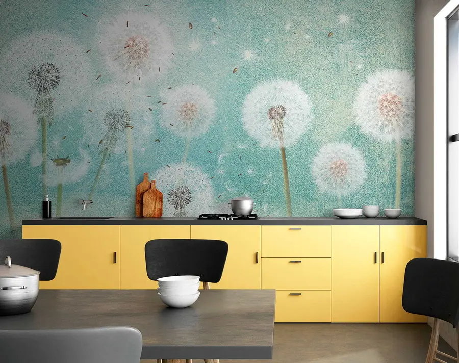 Fototapeta Słodkie mlecze u46357