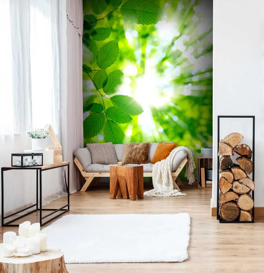 Fototapeta Początek wiosny u54862