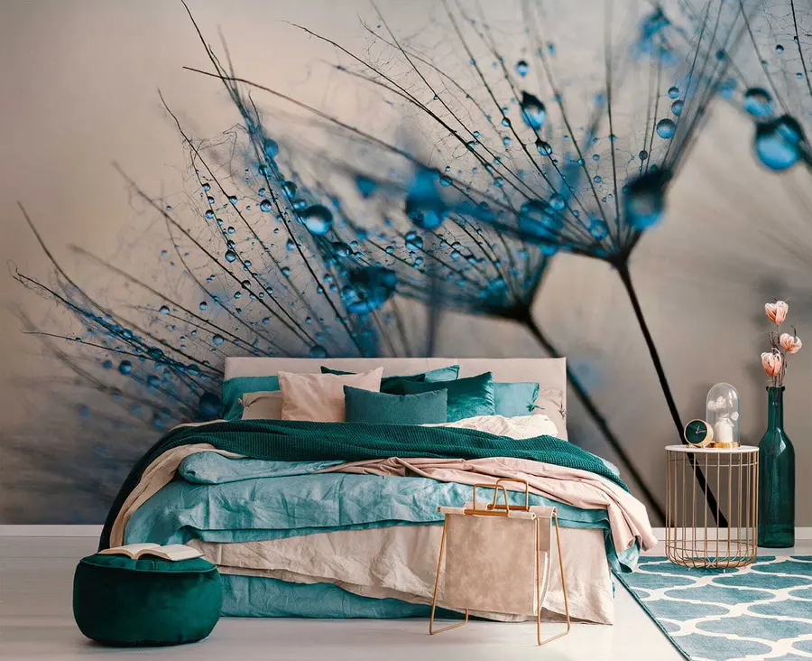 Fototapeta Mlecze z kroplami wody u57557