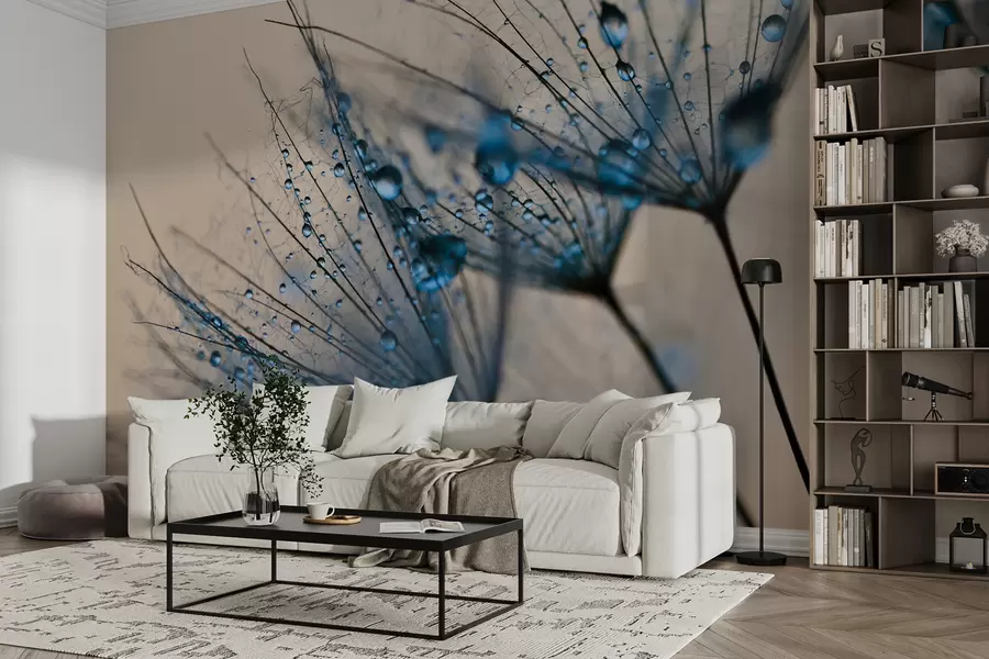 Fototapeta Mlecze z kroplami wody u57557