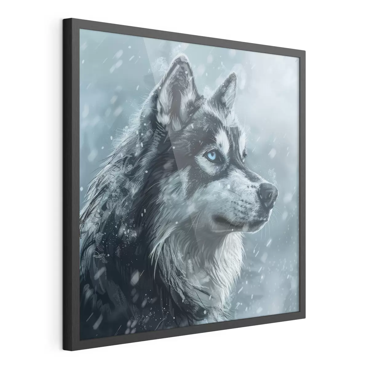 Plakat Husky z niebieskimi oczami na zimowym niebieskim tle f39462