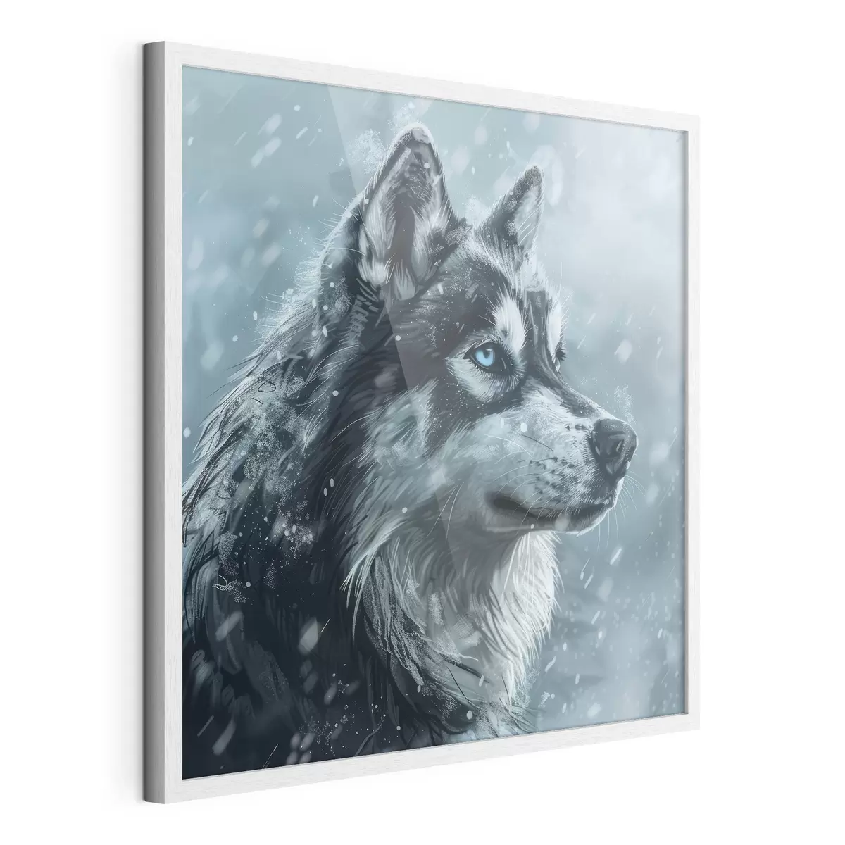 Plakat Husky z niebieskimi oczami na zimowym niebieskim tle f39462