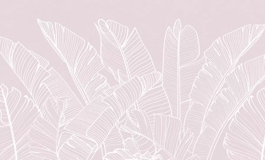 Fototapeta Tropikalne liście bananowca różowy kolor minimalizm nowy trend w08210v3