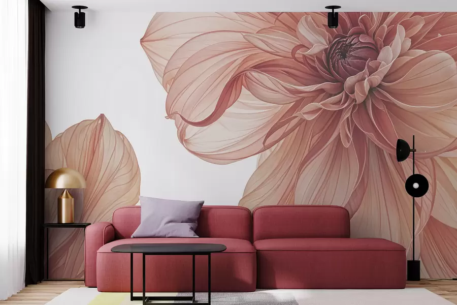 Fototapeta Zbliżenie na kilka dużych, intensywnie czerwonych kwiatów dalii o miękkich, delikatnych płatkach na białym tle w08257