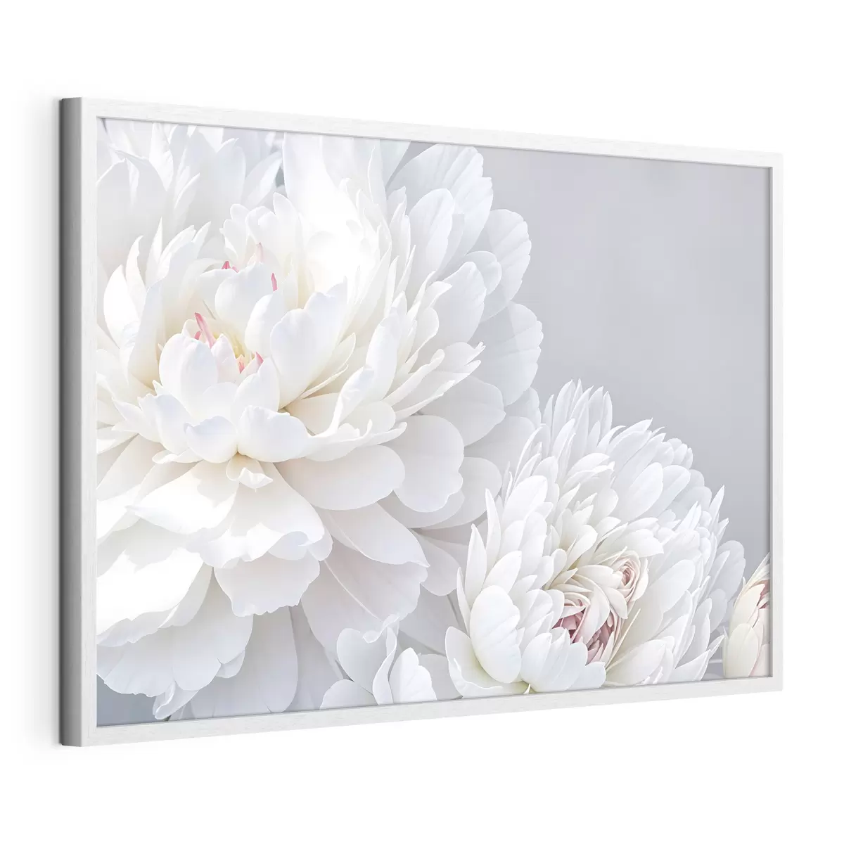 Plakat Piwonie i pasja f41085