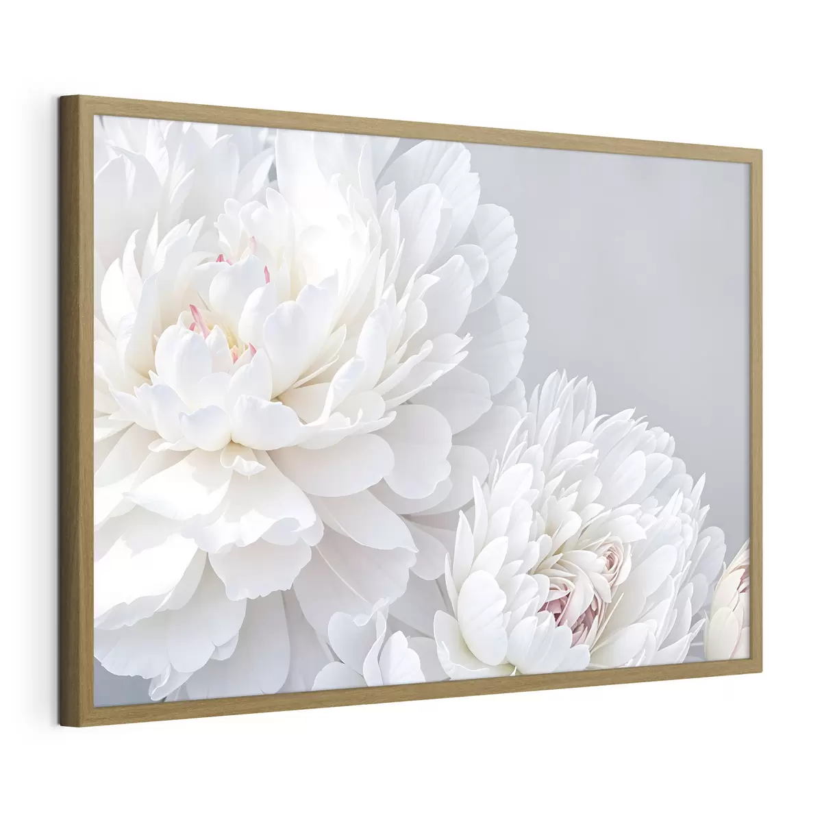 Plakat Piwonie i pasja f41085