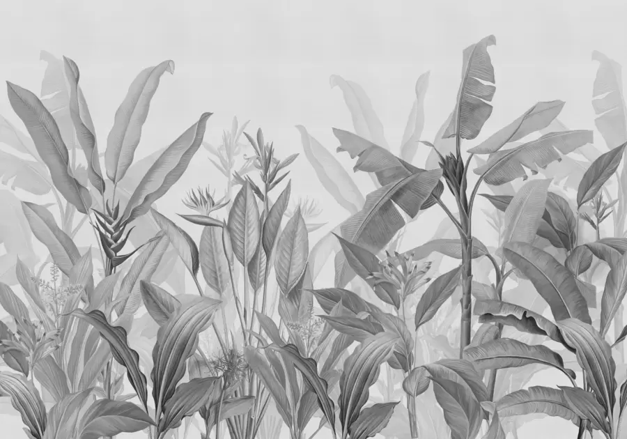 Fototapeta Czarno-białe tropikalne liście i kwiaty na jasnym tle w01834v3