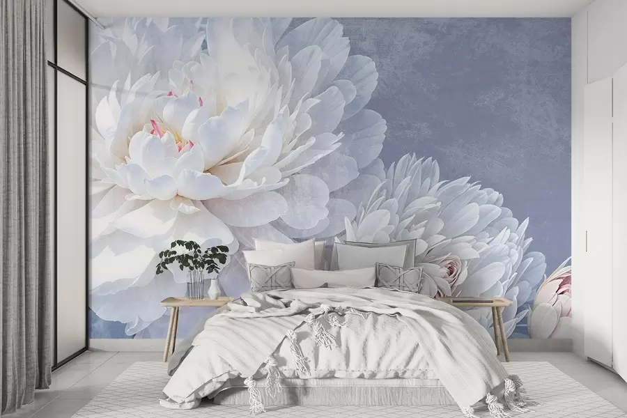 Fototapeta Białe, szczegółowe kwiaty piwonii z miękkimi, delikatnymi płatkami na jasnoniebieskim, teksturowanym tle w08379