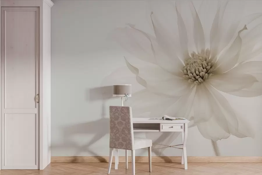 Fototapeta Delikatny beżowy kwiat na jasnym tle w02077v1