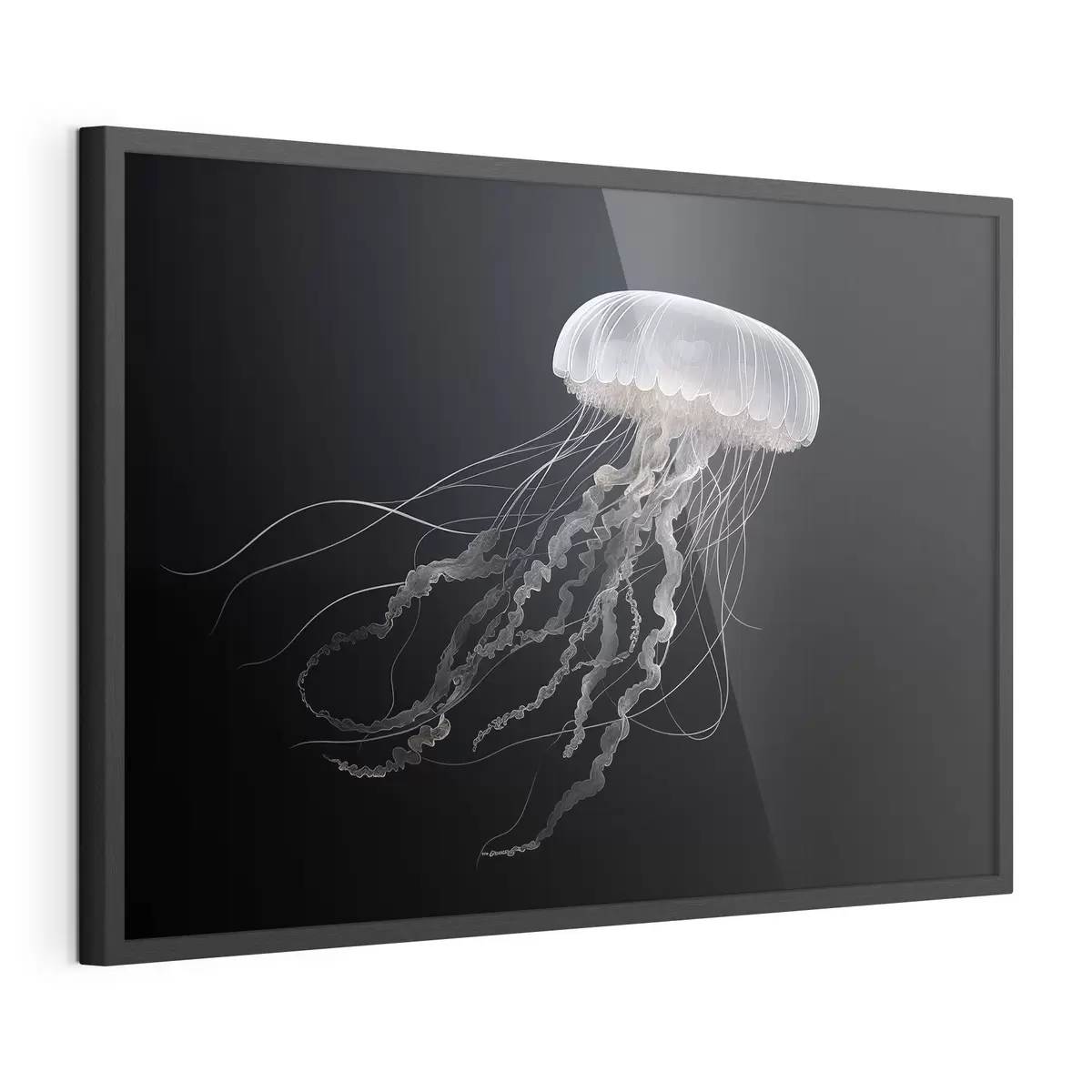 Plakat Magiczne meduzy na ciemnym tle f41606