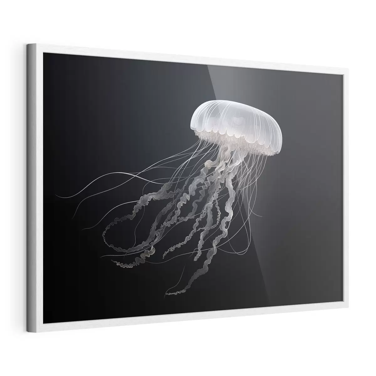 Plakat Magiczne meduzy na ciemnym tle f41606