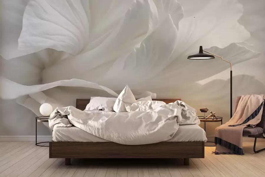 Fototapeta Abstrakcyjny minimalistyczny nadruk delikatnego białego kwiatu z miękkimi, aksamitnymi płatkami w08424