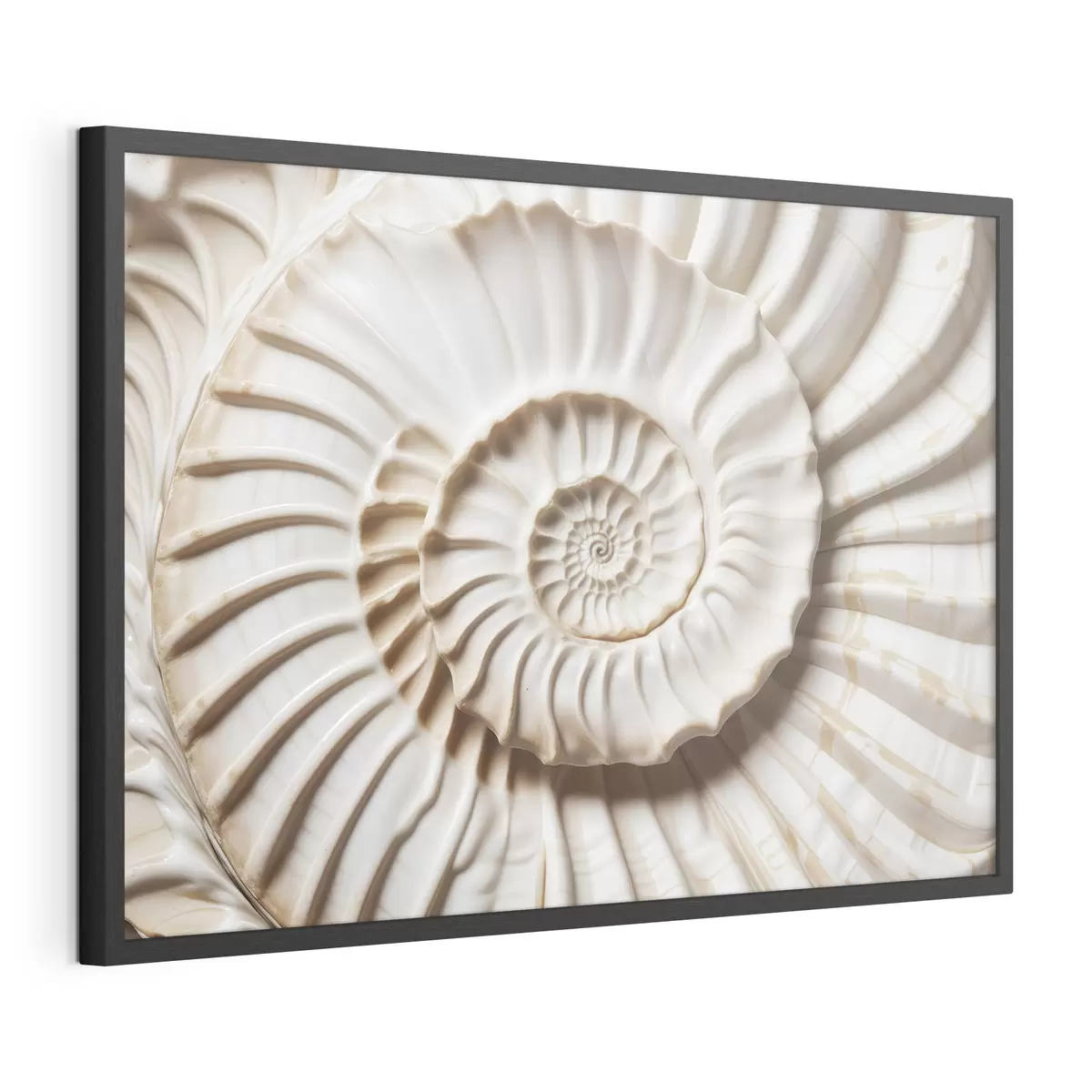 Plakat Biała spiralna powłoka, prezentująca skomplikowany i szczegółowy wzór f41728