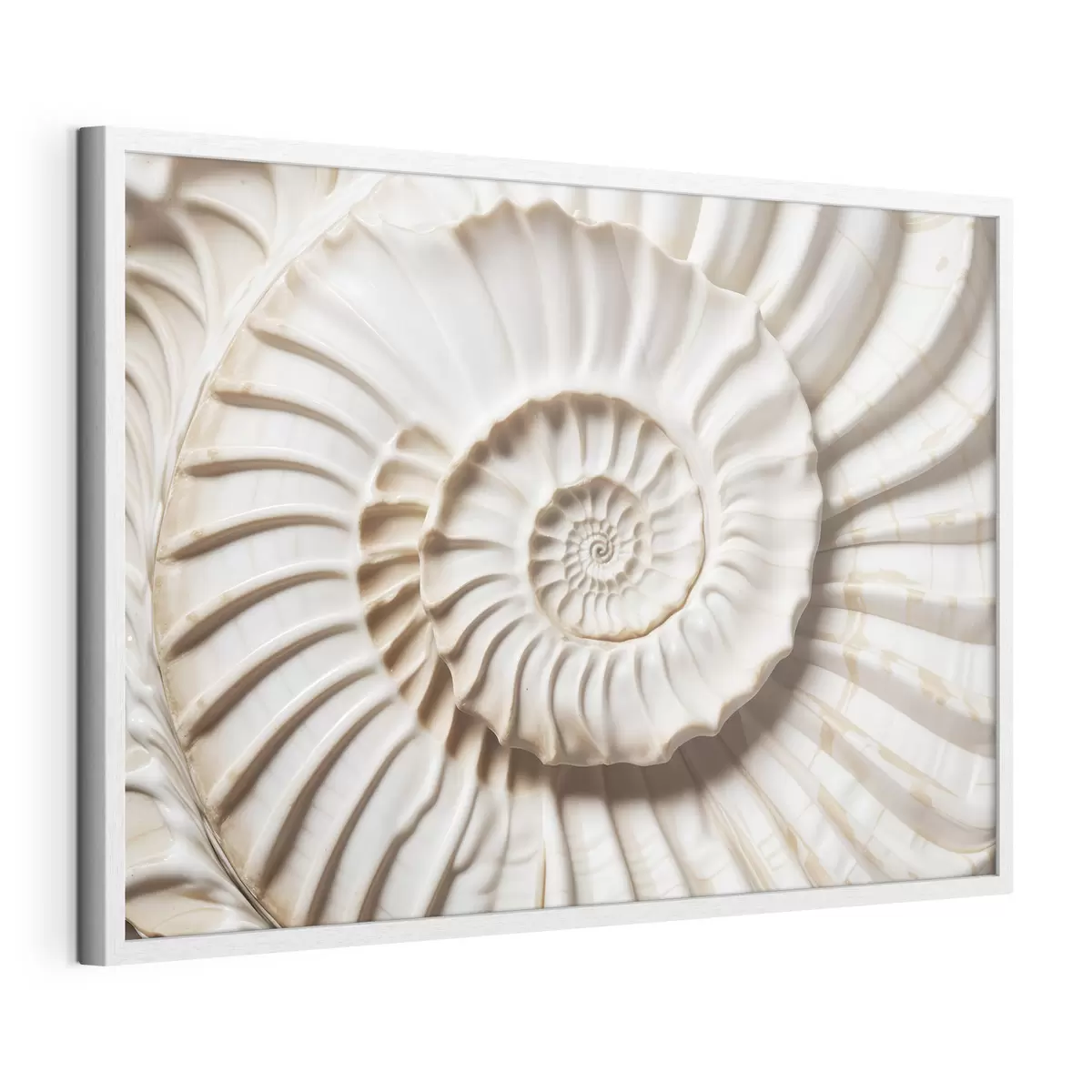 Plakat Biała spiralna powłoka, prezentująca skomplikowany i szczegółowy wzór f41728