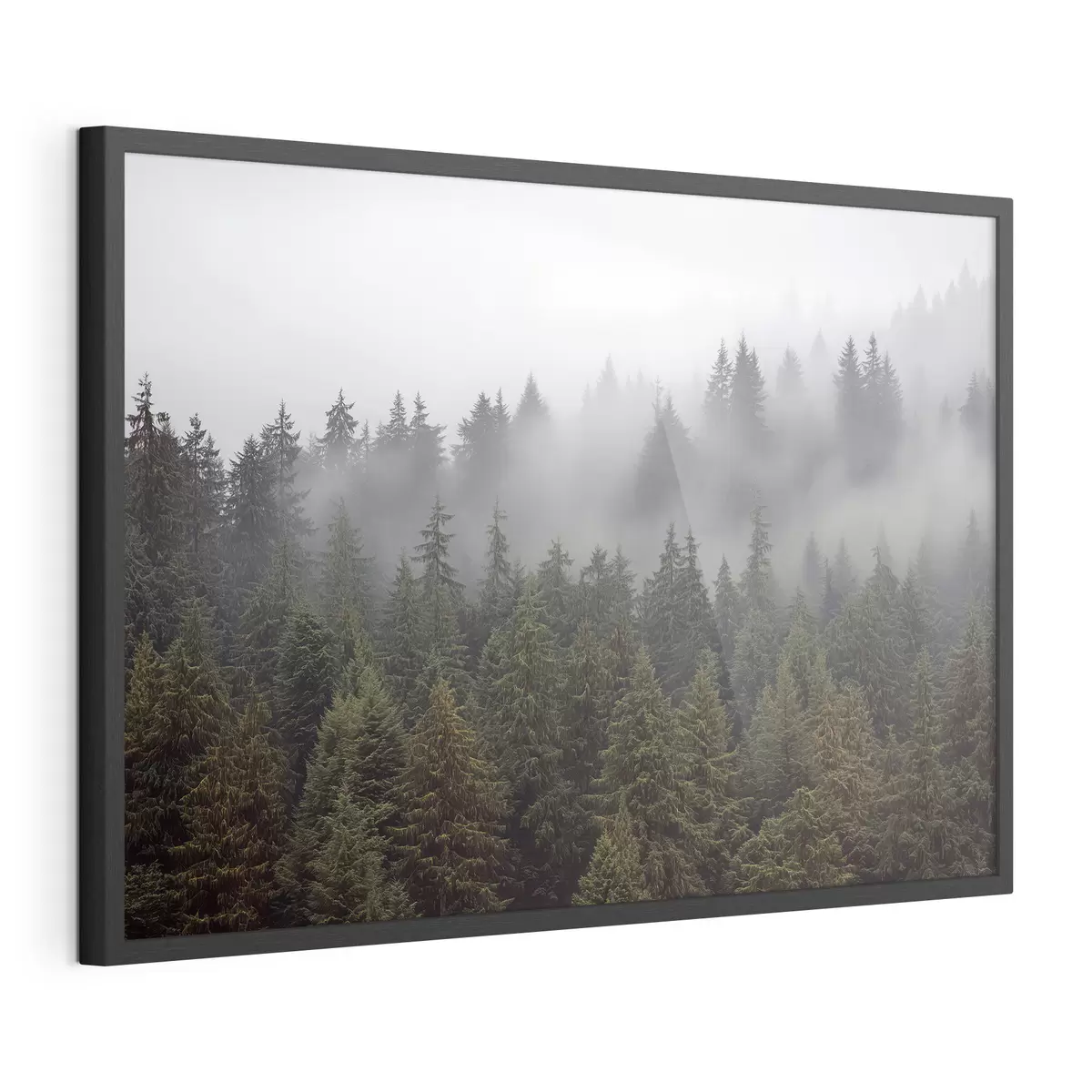 Plakat Las we mgle f41839