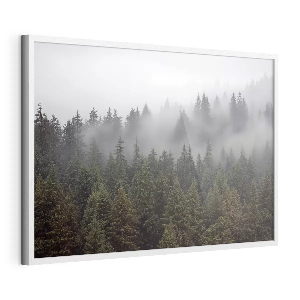 Plakat Las we mgle f41839