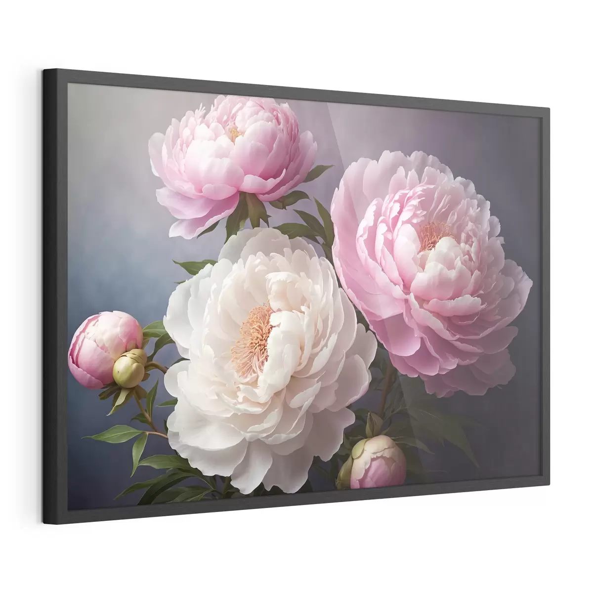 Plakat Piwonie na ciemnym, jasnym tle f41508