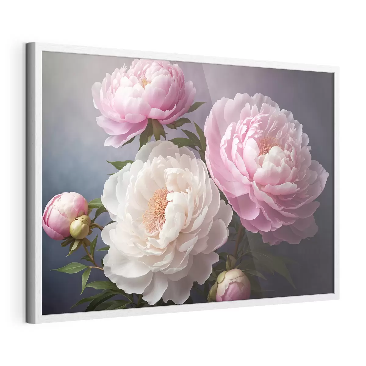 Plakat Piwonie na ciemnym, jasnym tle f41508