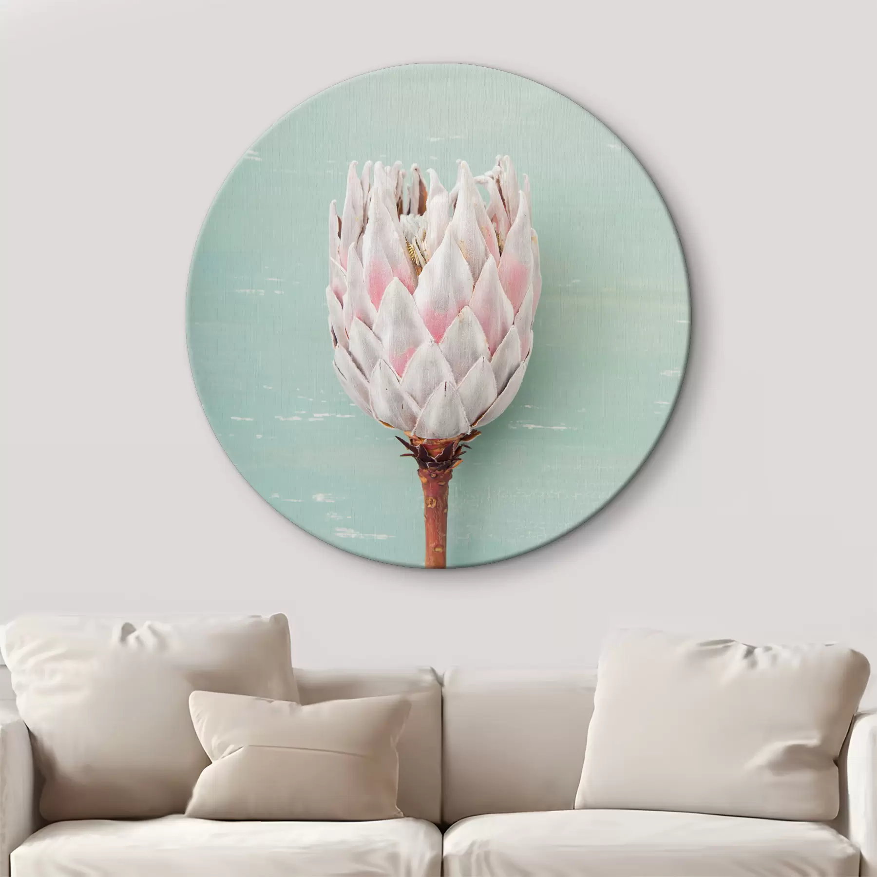 Obraz White Protea r36695