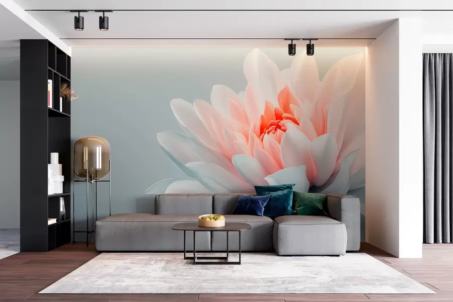 Fototapeta Duży kwiat na szarym tle w02906