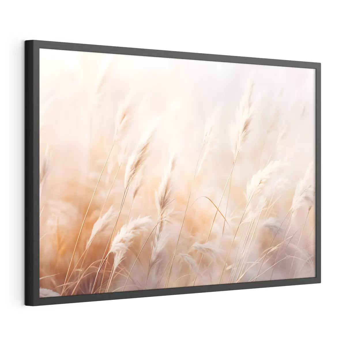 Plakat Trawa pampasowa z miękkim, rozproszonym światłem, tworzącym ciepłe, tło jest mieszanką pastelowych kolorów f43157