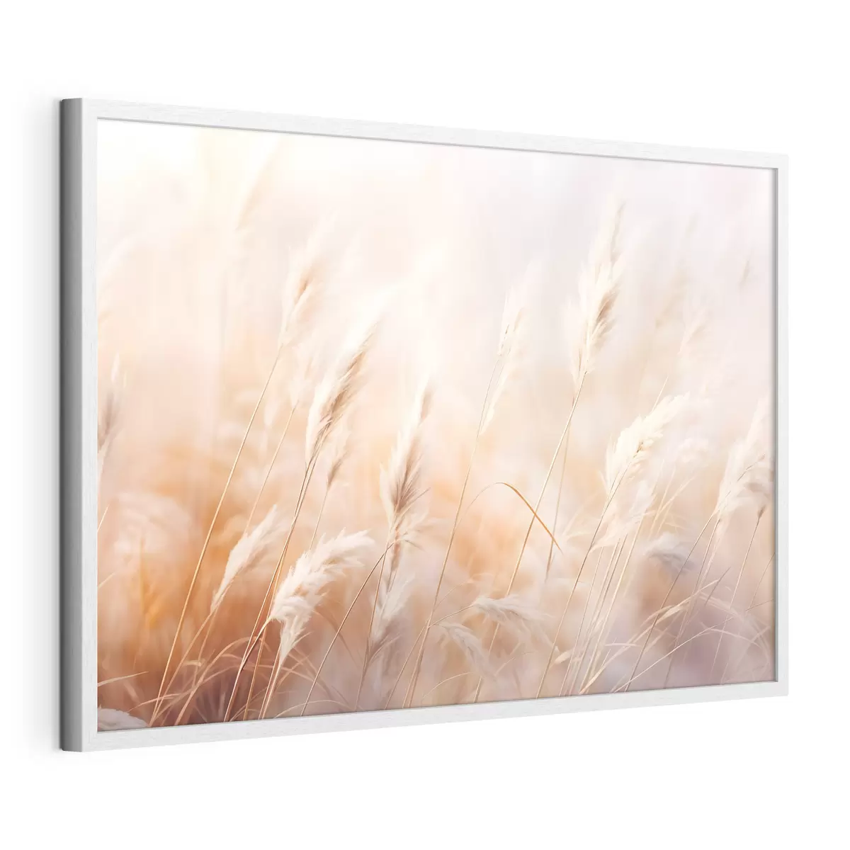 Plakat Trawa pampasowa z miękkim, rozproszonym światłem, tworzącym ciepłe, tło jest mieszanką pastelowych kolorów f43157