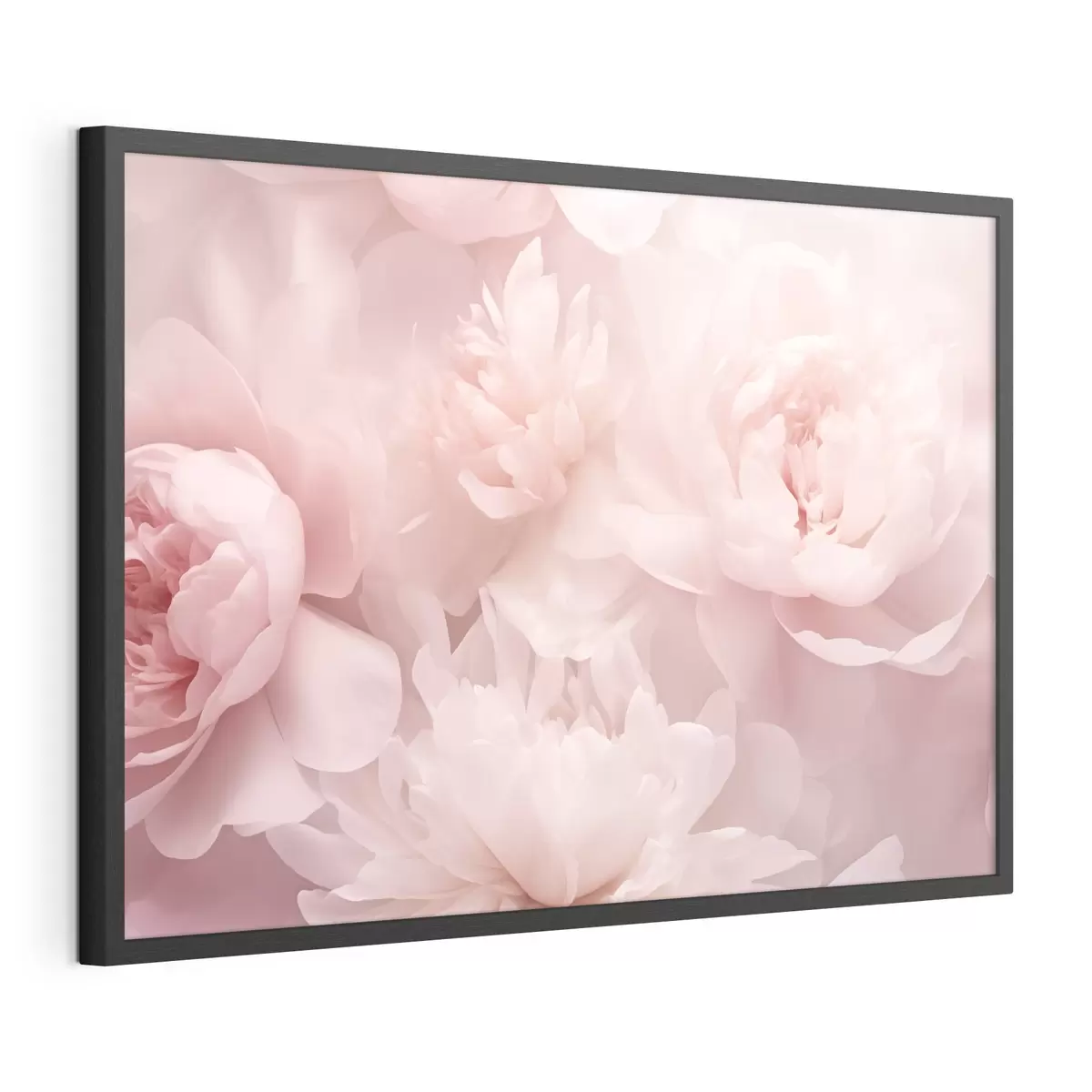 Plakat Piwonie f43429