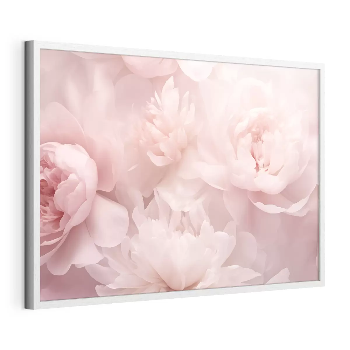 Plakat Piwonie f43429