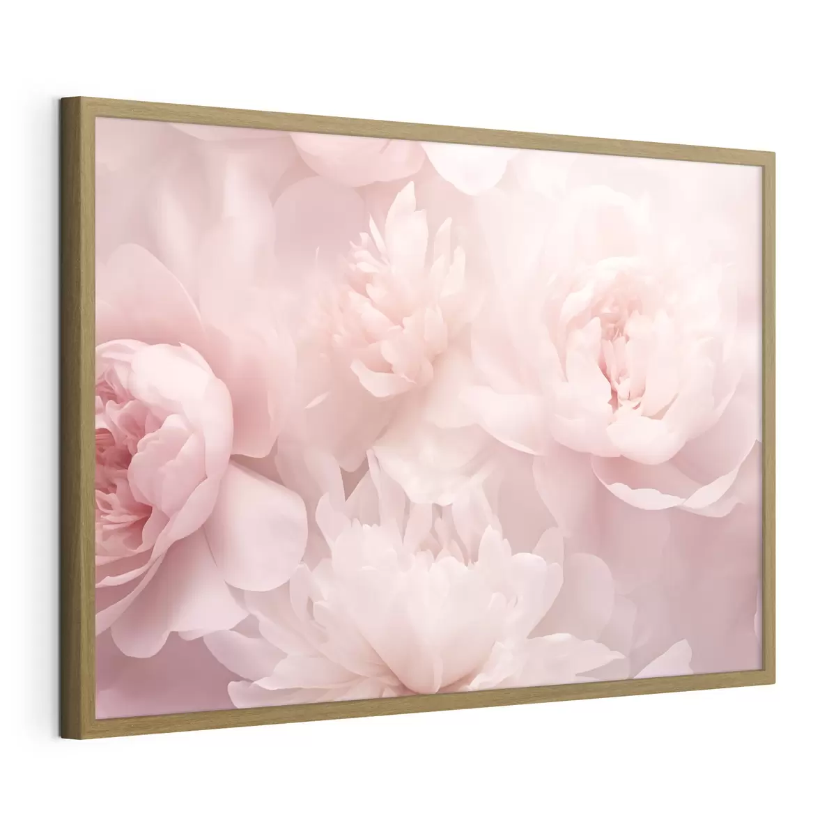Plakat Piwonie f43429
