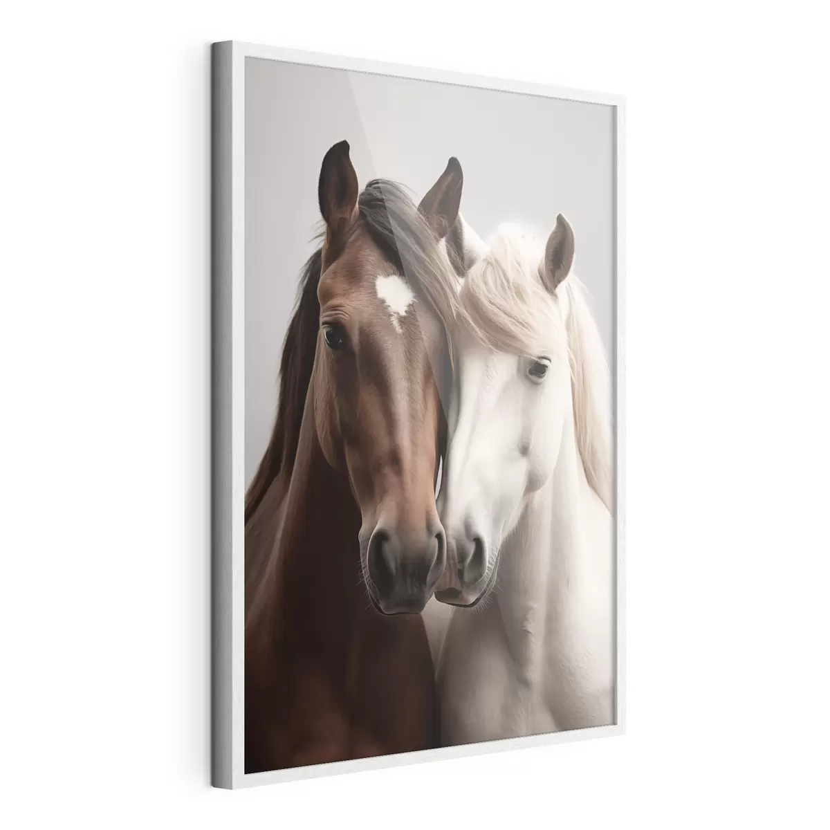 Plakat Konie f43436