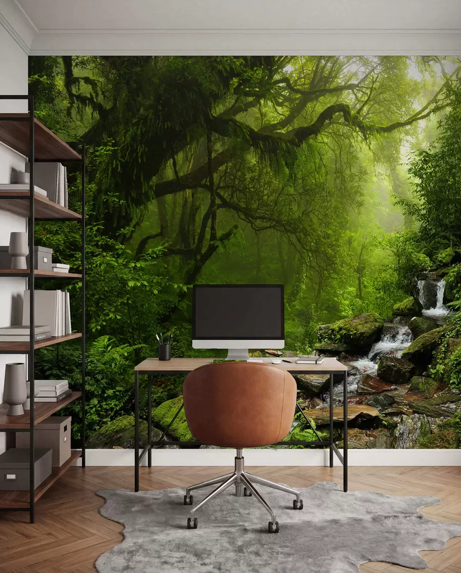 Fototapeta Roślina, woda i środowisko naturalne u53758