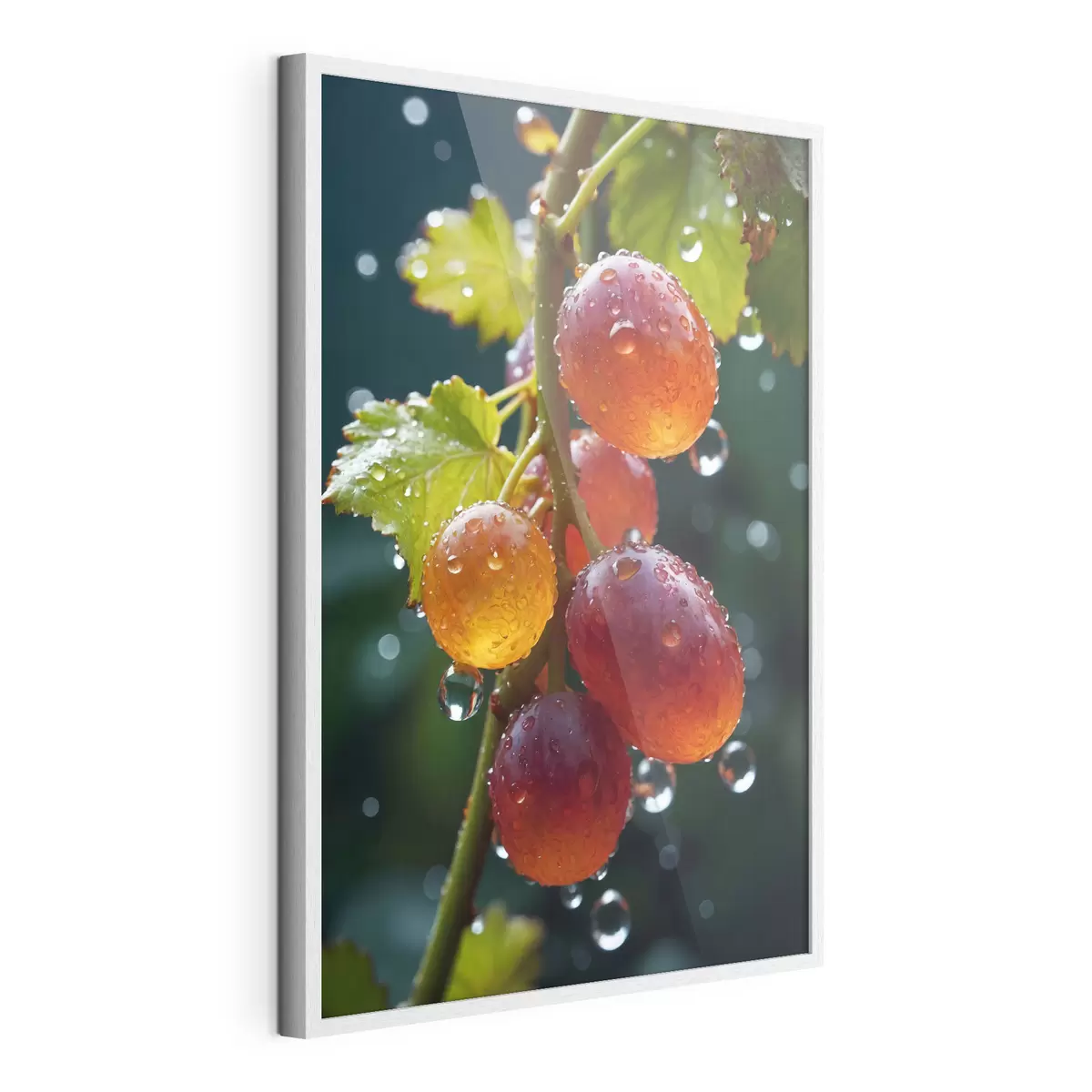 Plakat Winogrona z kroplami rosy f43872