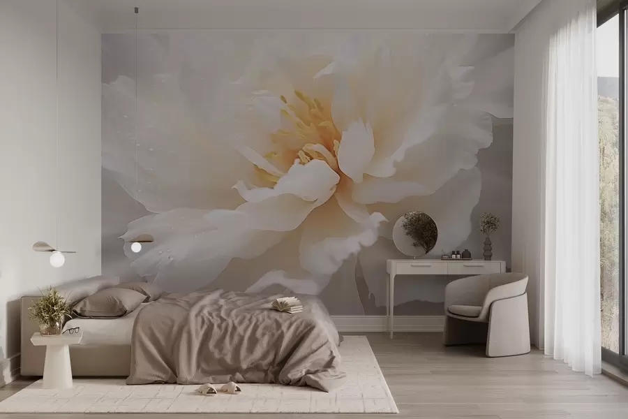 Fototapeta Kwitnący kwiat piwonii z kroplami rosy w03602