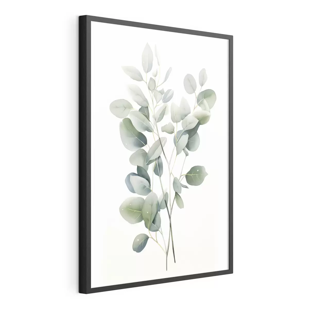 Plakat Eukaliptus f44676