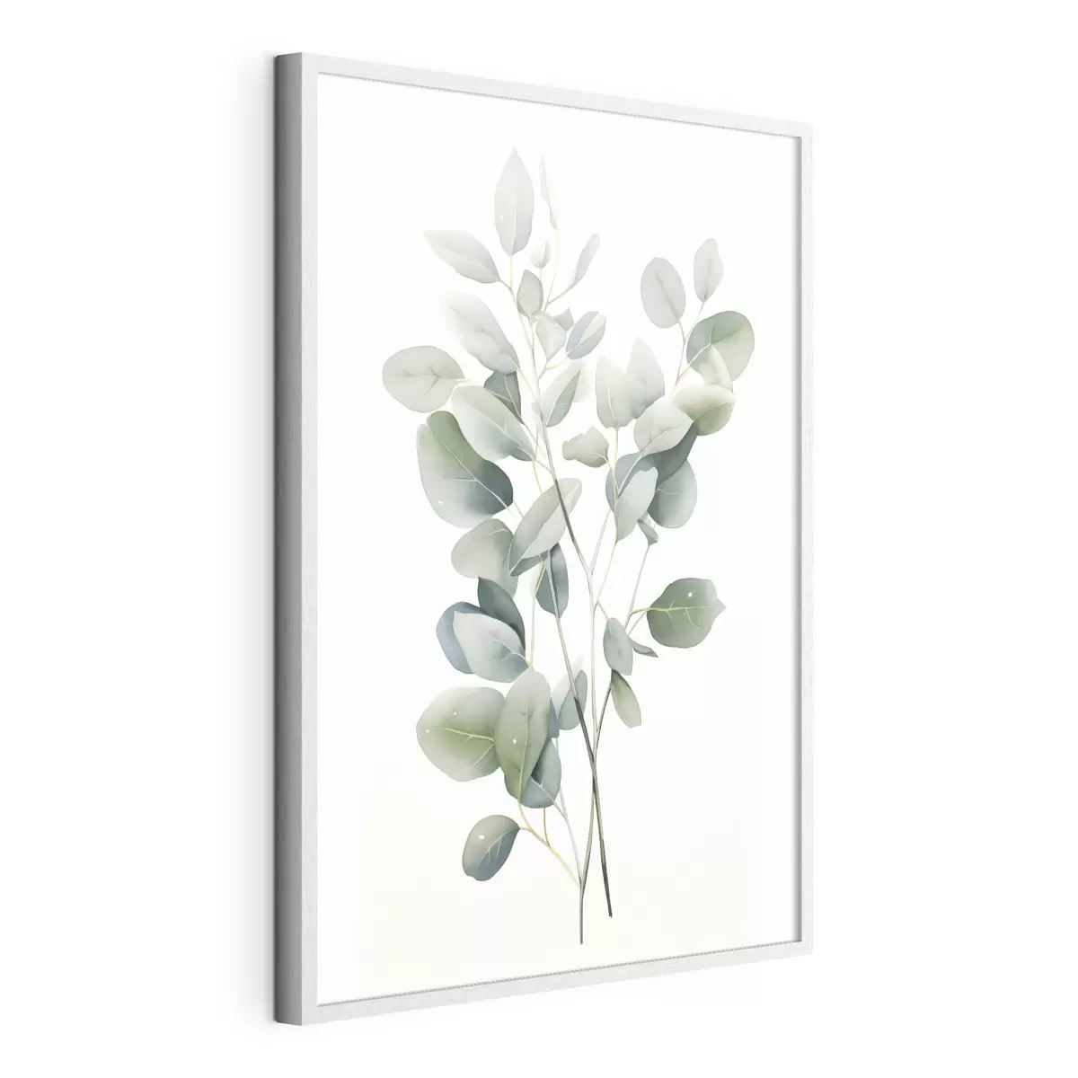 Plakat Eukaliptus f44676
