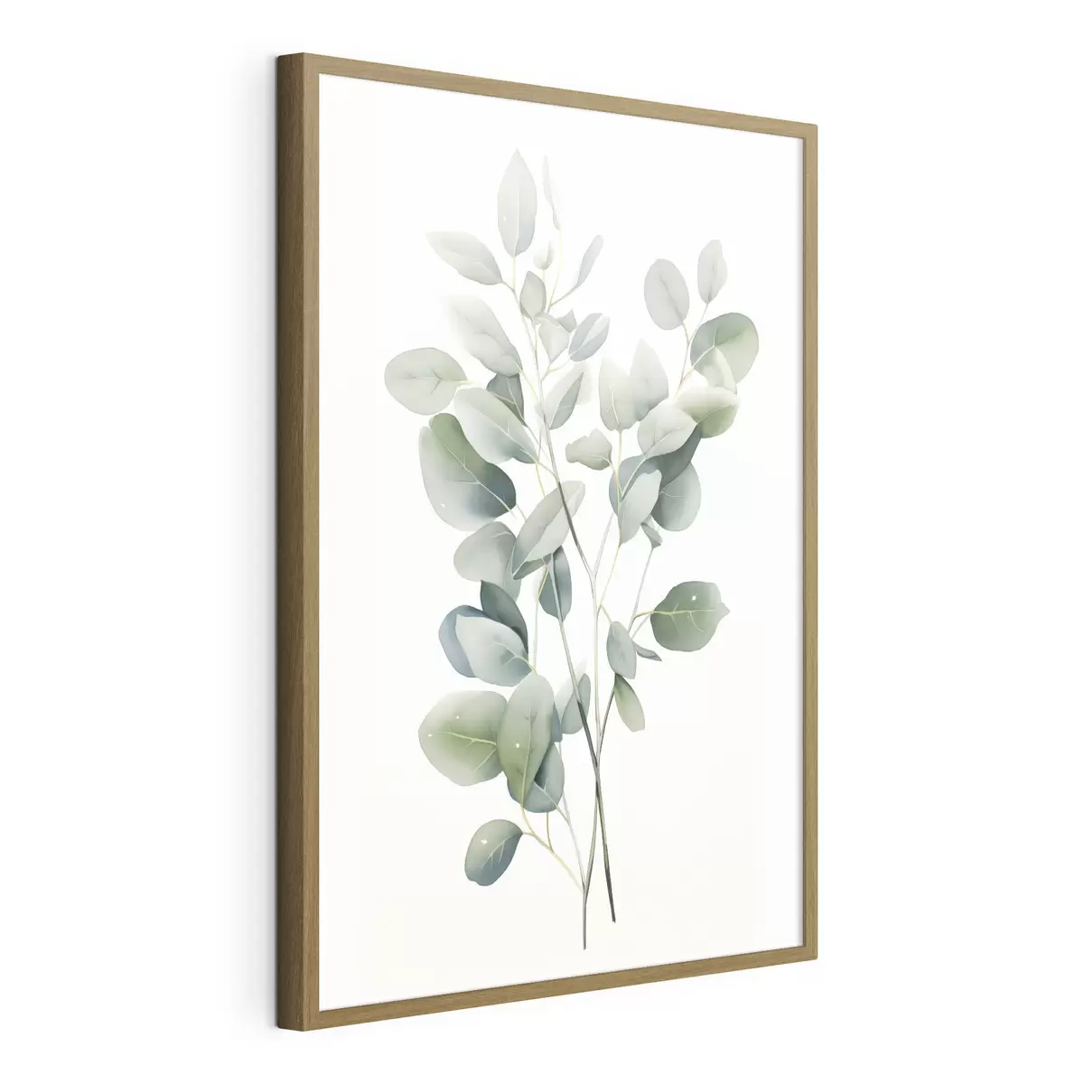 Plakat Eukaliptus f44676
