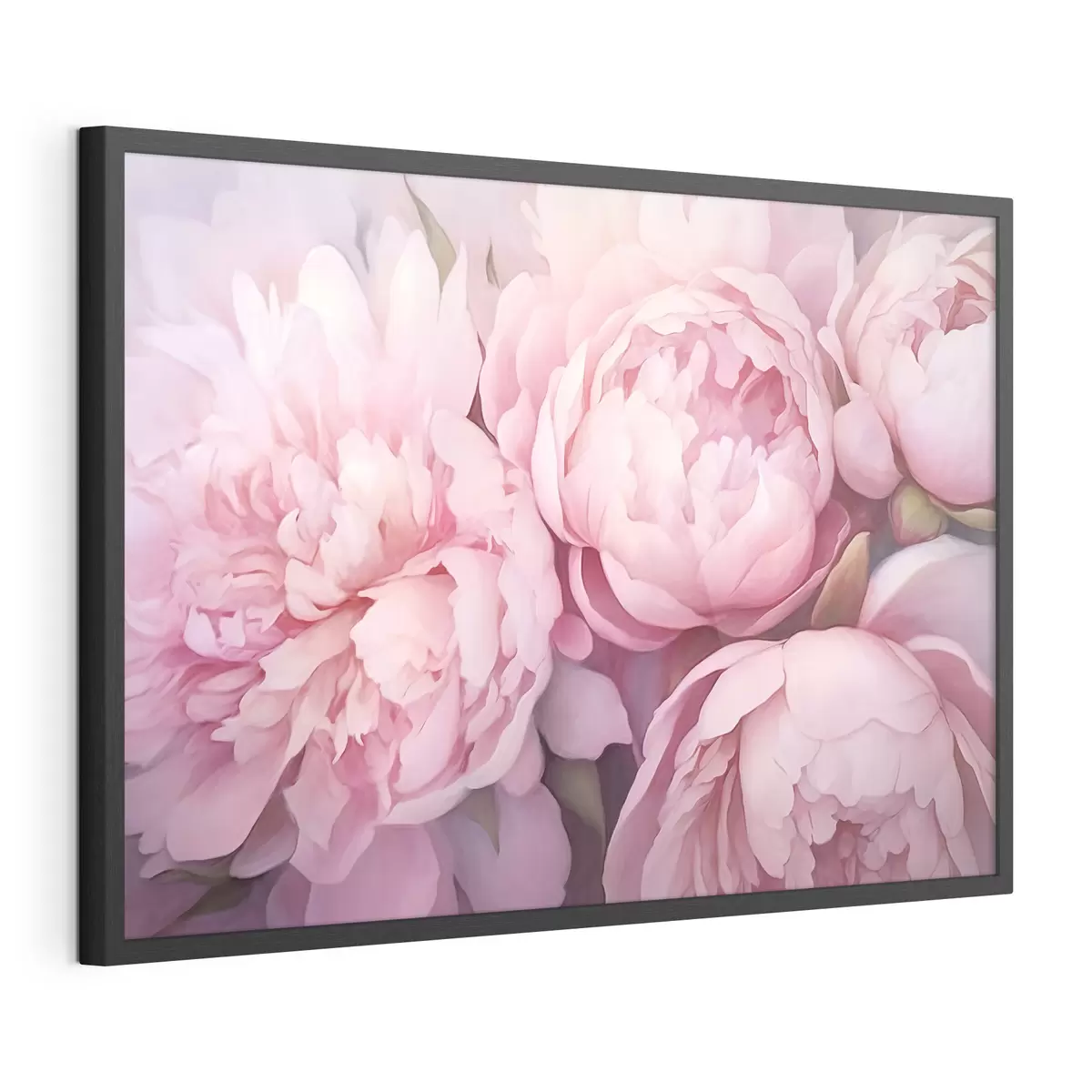 Plakat Różowe piwonie f44908