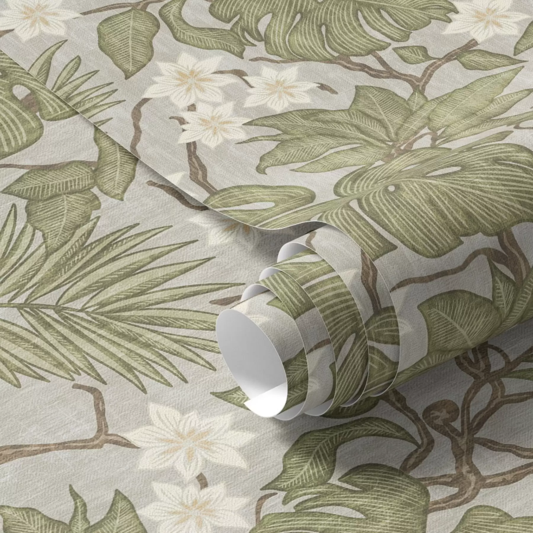 Fototapeta Tropikalne liście i kwiaty monstery na szarym tle a00249