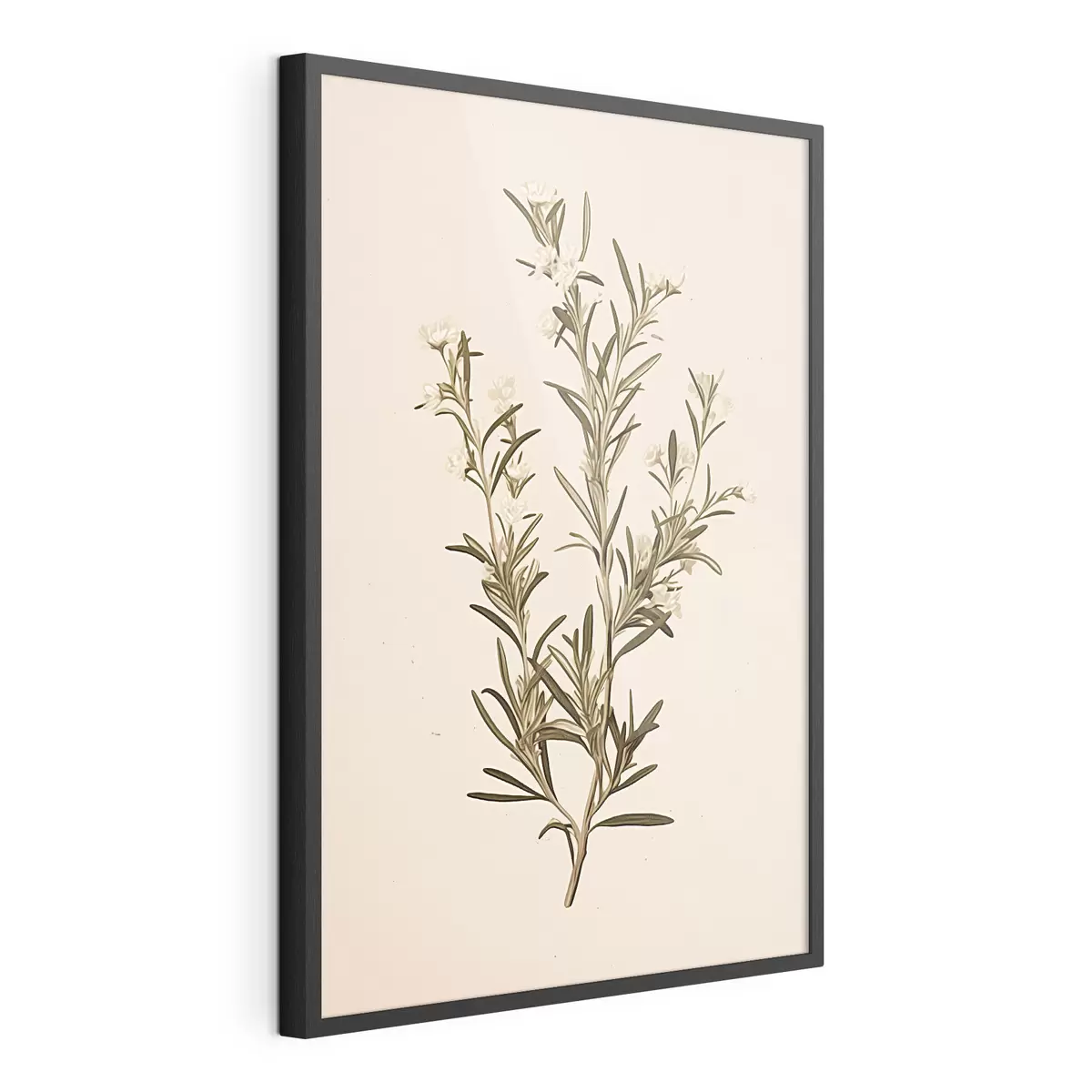 Plakat botaniczny, gałąź, beżowe tło, zioło, minimalny, roślina, zielone liście, łodyga f45098