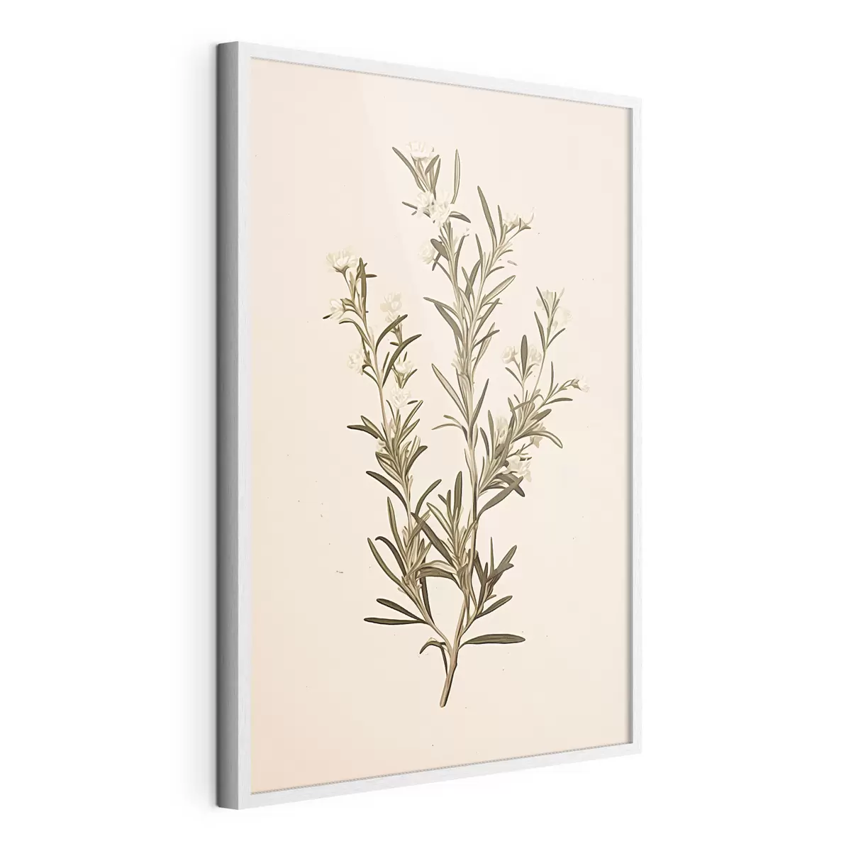 Plakat botaniczny, gałąź, beżowe tło, zioło, minimalny, roślina, zielone liście, łodyga f45098