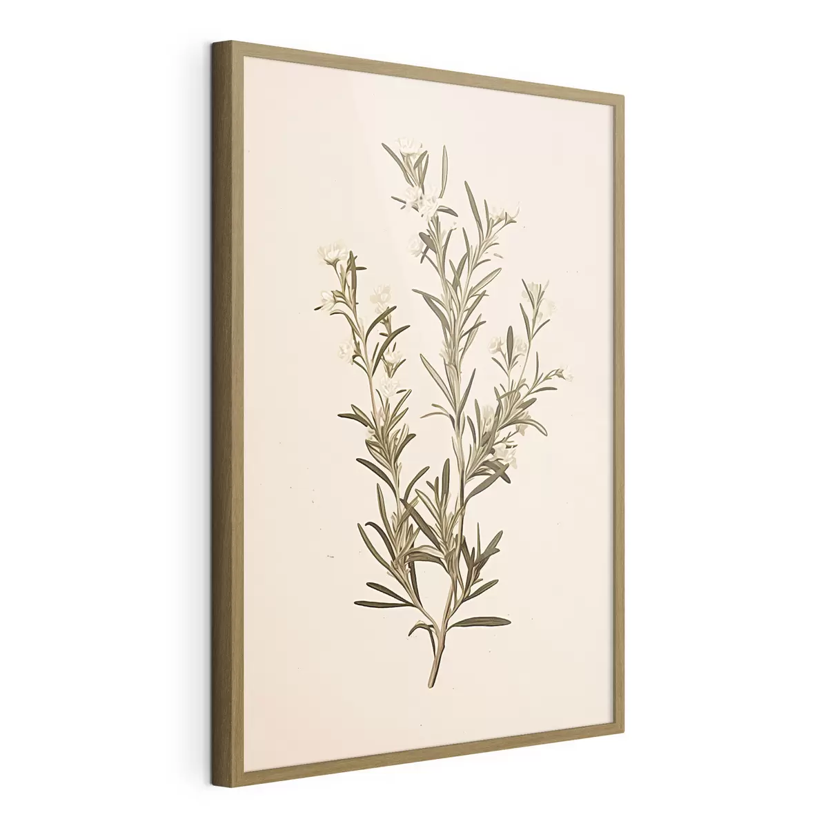 Plakat botaniczny, gałąź, beżowe tło, zioło, minimalny, roślina, zielone liście, łodyga f45098