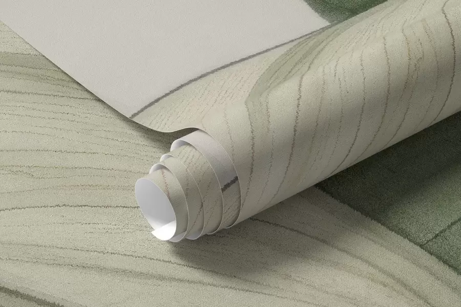 Fototapeta Zbliżenie kwitnącego spathiphyllum z dużymi liśćmi w04263