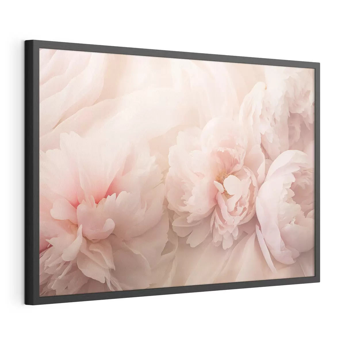 Plakat Piwonie w różowych kolorach f45296