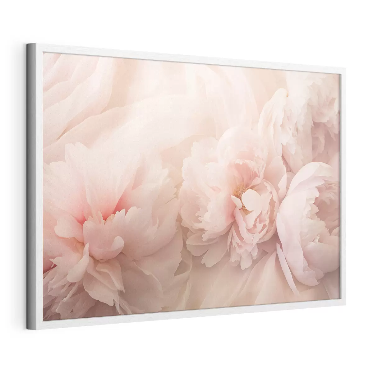 Plakat Piwonie w różowych kolorach f45296