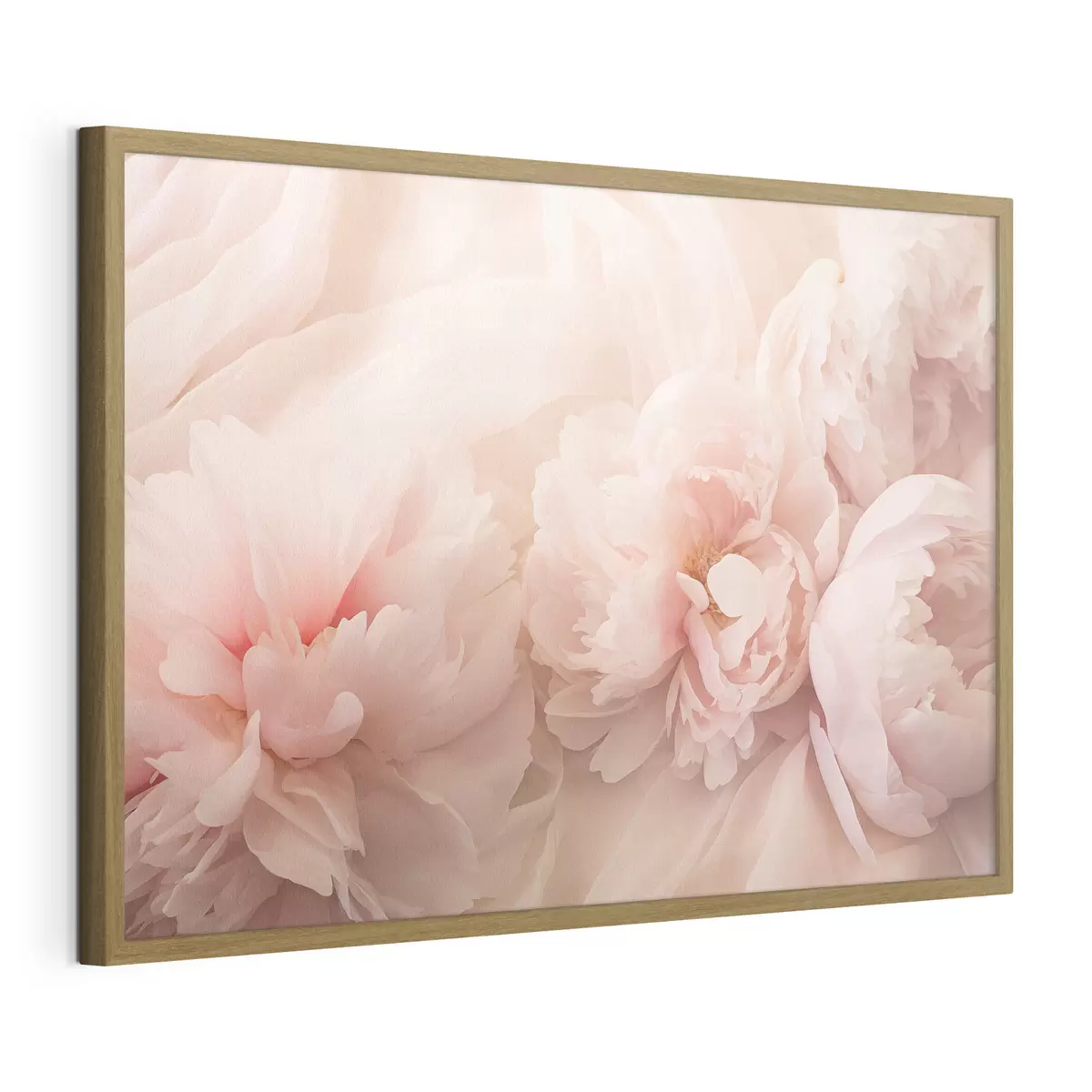 Plakat Piwonie w różowych kolorach f45296
