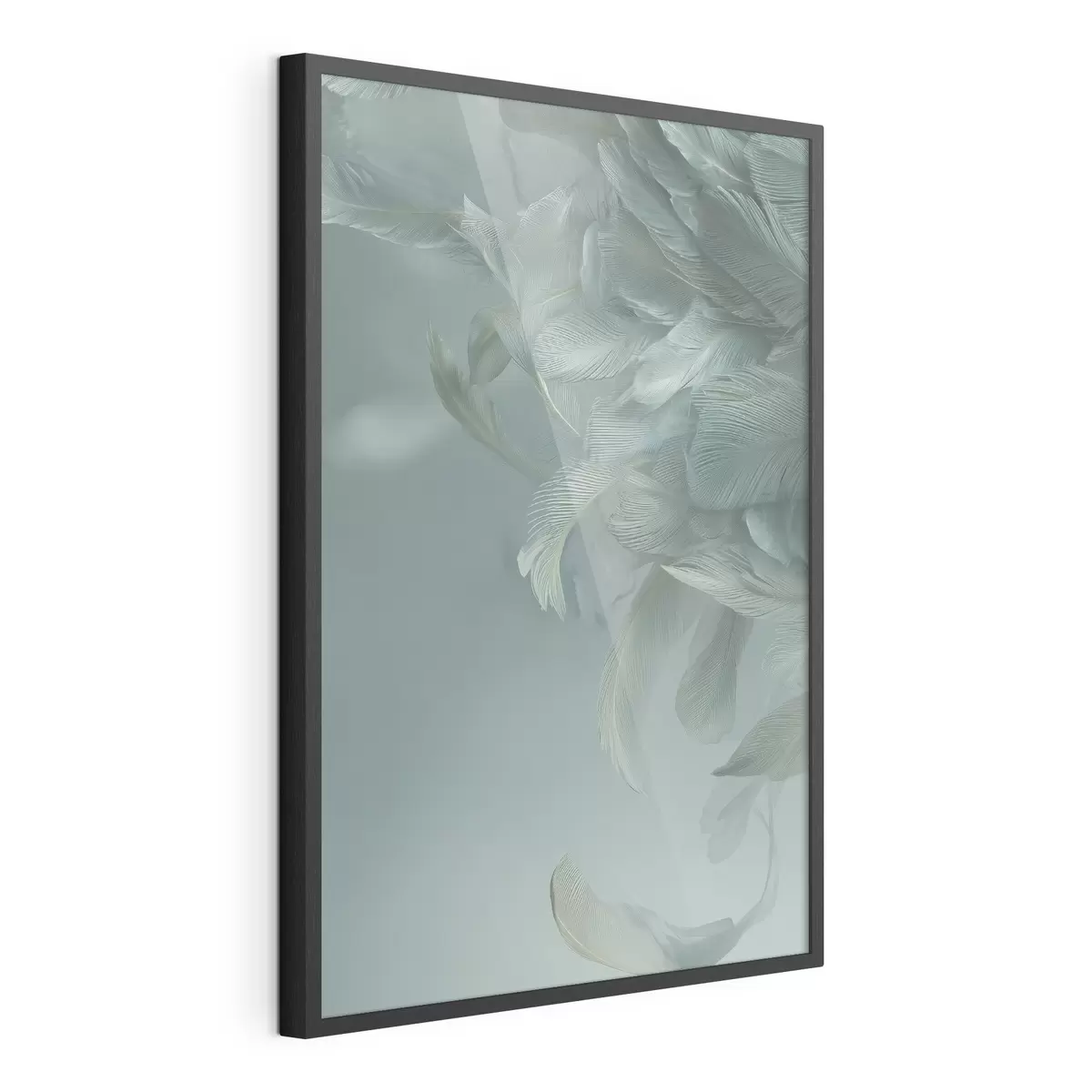 Plakat Pióra i lot f45708