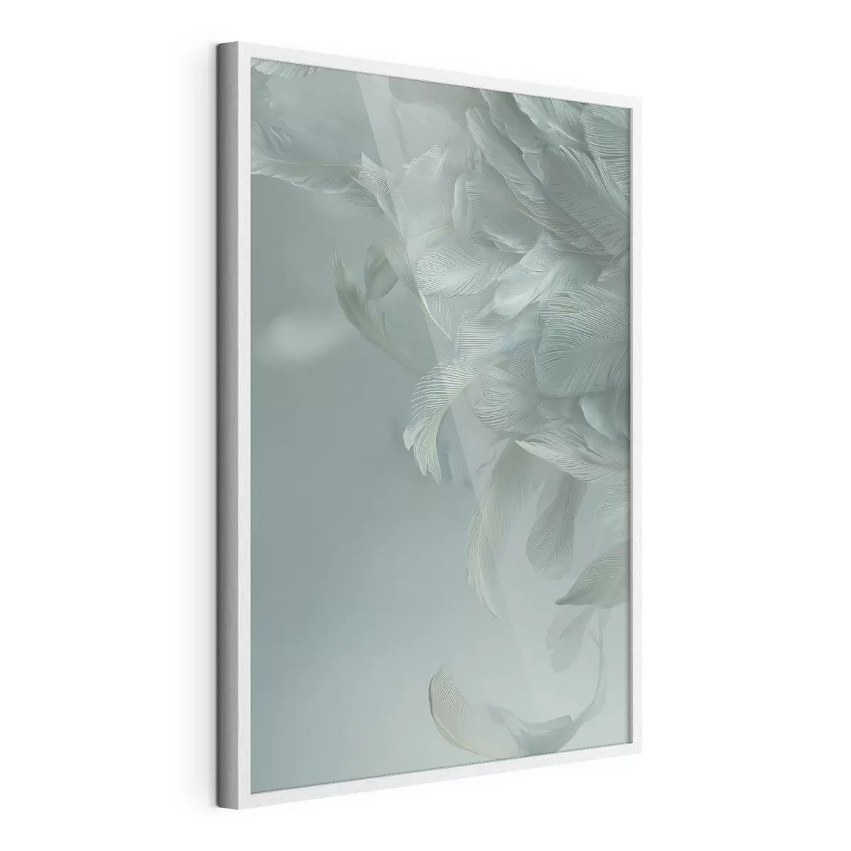 Plakat Pióra i lot f45708