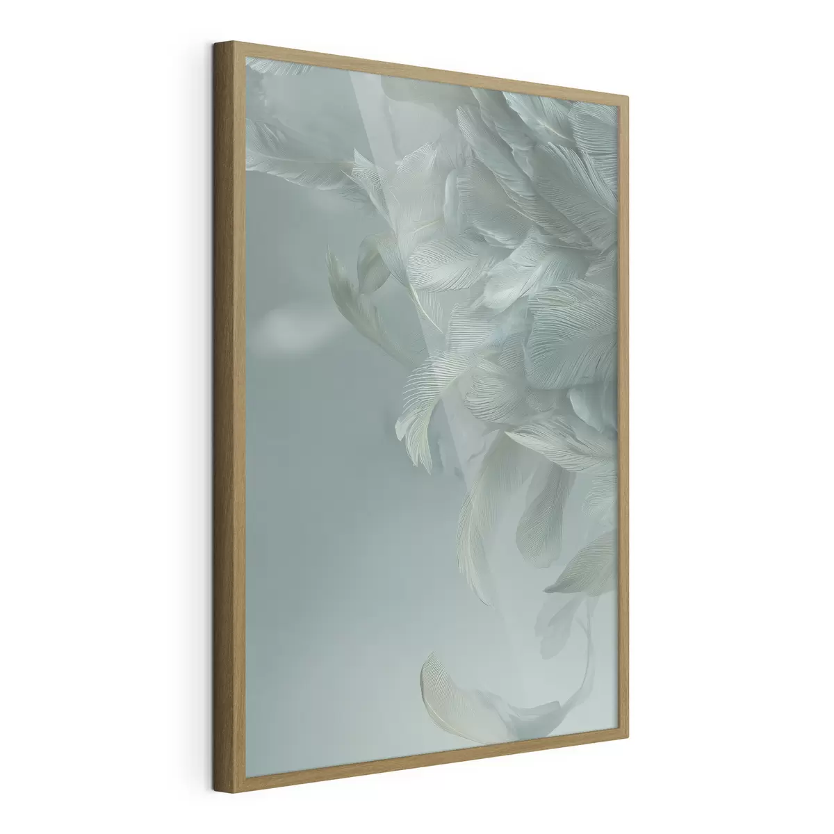 Plakat Pióra i lot f45708